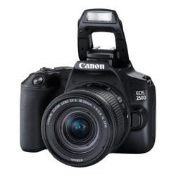 Canon EOS 250D kit 18-55mm IS STM черный- фото5