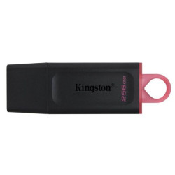 USB Flash Kingston DataTraveler Exodia 256GB (DTX/256GB)- фото