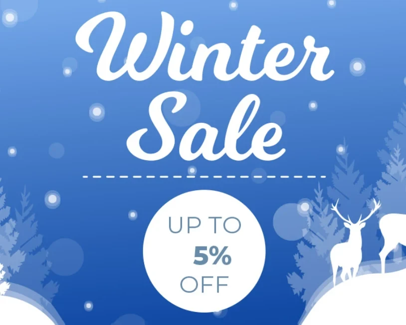 Скидка 5% на ВСЁ! Только до 31.12.2025! Не пропустите!