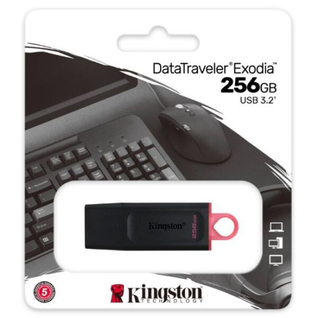 USB Flash Kingston DataTraveler Exodia 256GB (DTX/256GB) фото-3