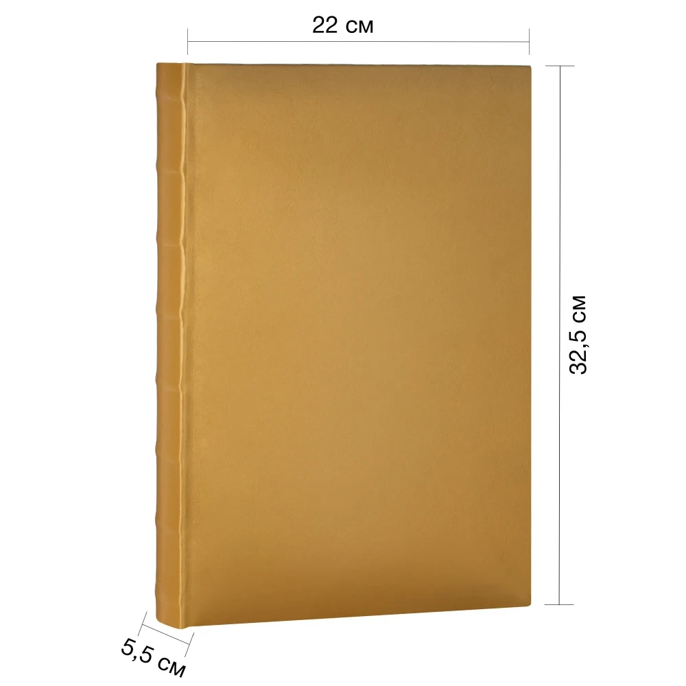 Фотоальбом Fotografia 10x15 см 300 фото, «Классика», золото фото-3