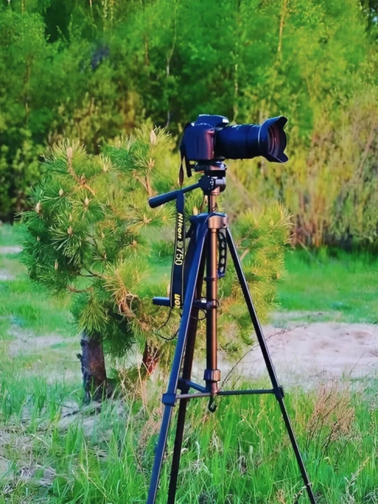 Штатив Raylab Travel 63 (с головой) фото-8