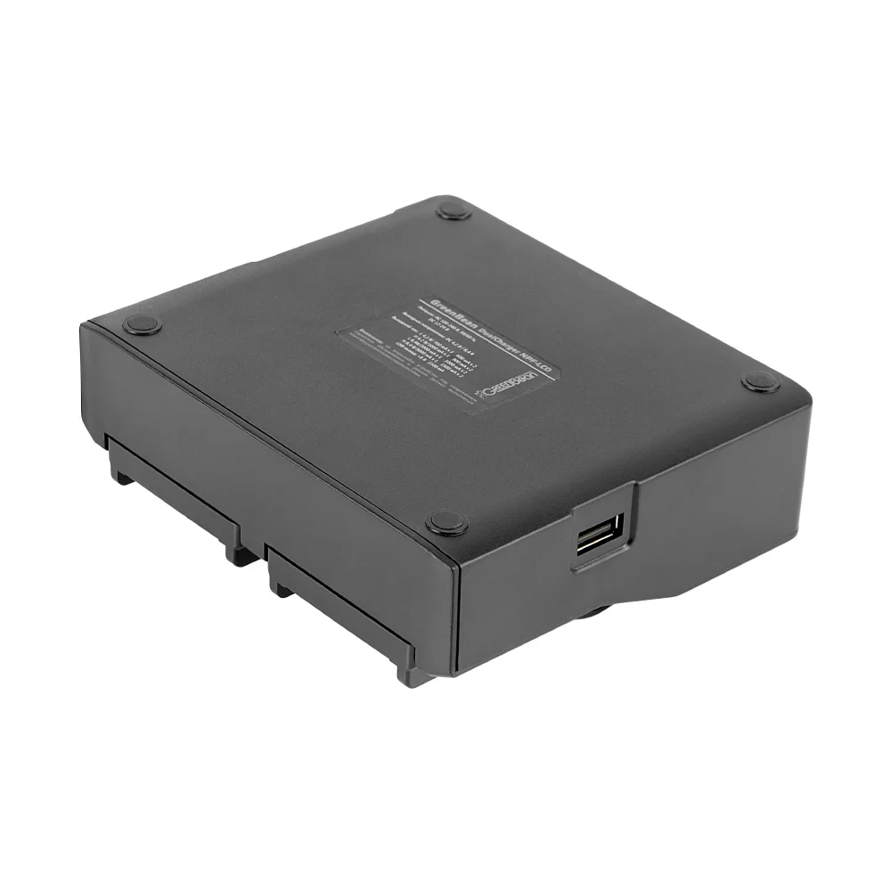 Зарядное устройство GreenBean DualCharger NPF-LCD фото-4 Зарядное устройство GreenBean DualCharger NPF-LCD фото-4