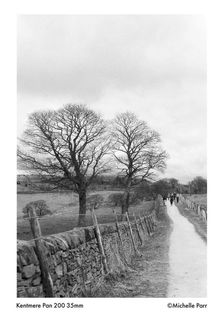 Фотопленка Ilford Kentmere PAN 200/36 ч/б негативная фото-5