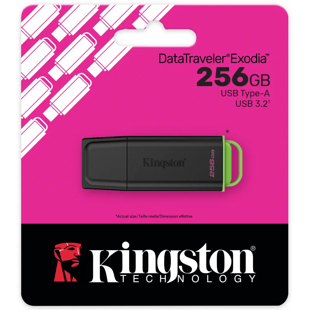 USB Flash накопитель Kingston DataTraveler Exodia 256GB DTXG2/256GB фото-4