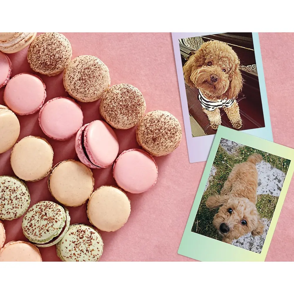 Фотопленка Fujifilm Instax Mini Macaron (10 шт.) фото-3