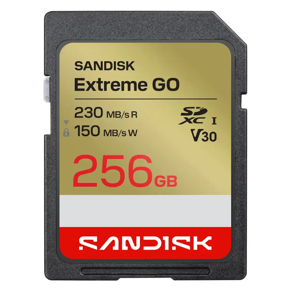 Карта памяти SanDisk SDXC 256GB Extreme GO UHS-I V30 230/150 МБ/с Карта памяти SanDisk SDXC 256GB Extreme GO UHS-I V30 230/150 МБ/с