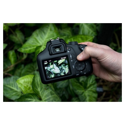 Canon EOS 4000D Kit 18-55mm III + SB130 + карта 16 ГБ — фото