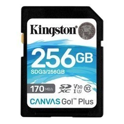 Карта памяти SDXC Kingston 256GB Canvas Go! Plus 170R (SDG3/256GB)- фото